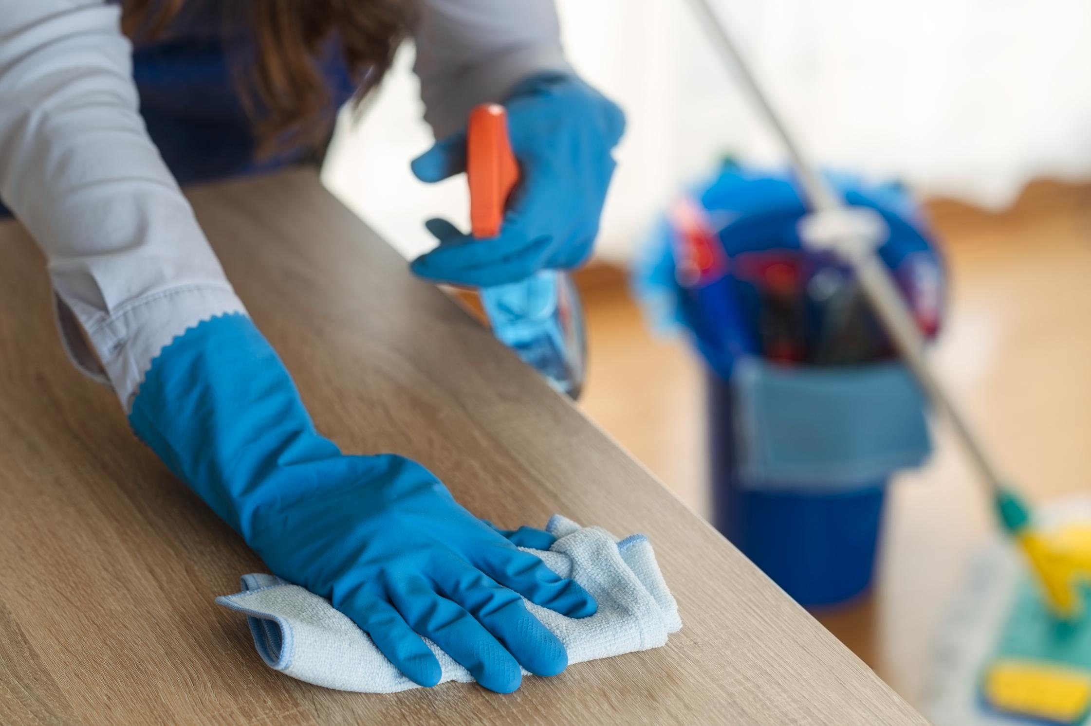 The Ultimate Guide to Home Cleaning Services in Elkhorn, WI